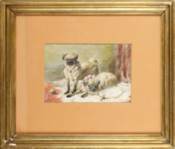 pugs