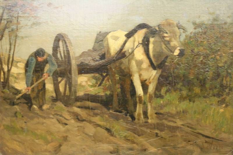 boer-met-ossenkar