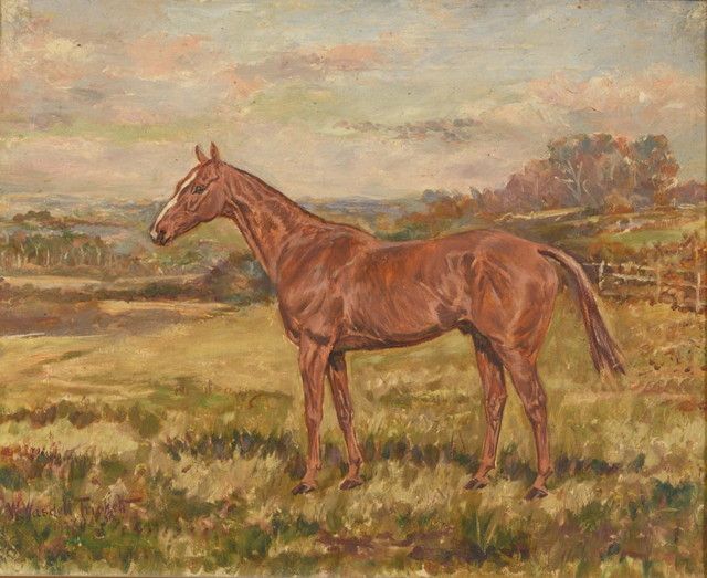 a-chestnut-hunter-in-a-landscape