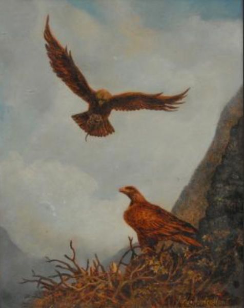 eagles-in-the-eyrie