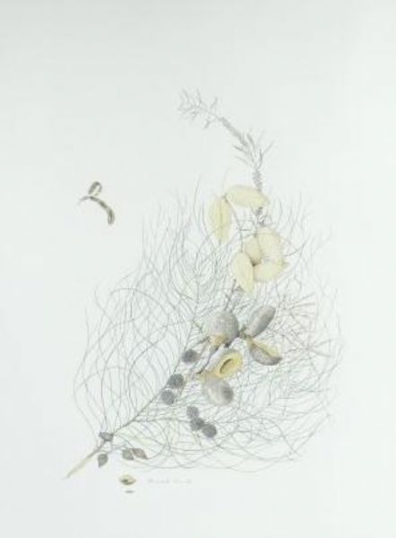 botanical-study