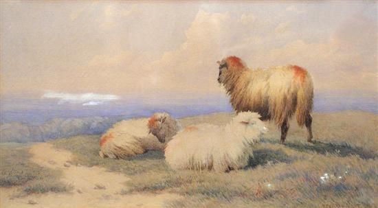 sheep-in-a-landscape-and-mountain-goats
