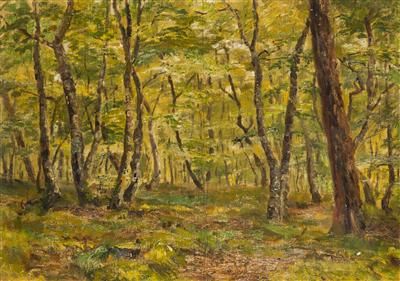nside-a-forest
