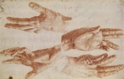 handstudie-in-vier-varianten