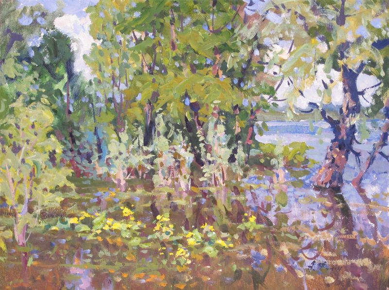 summer-beside-the-lake