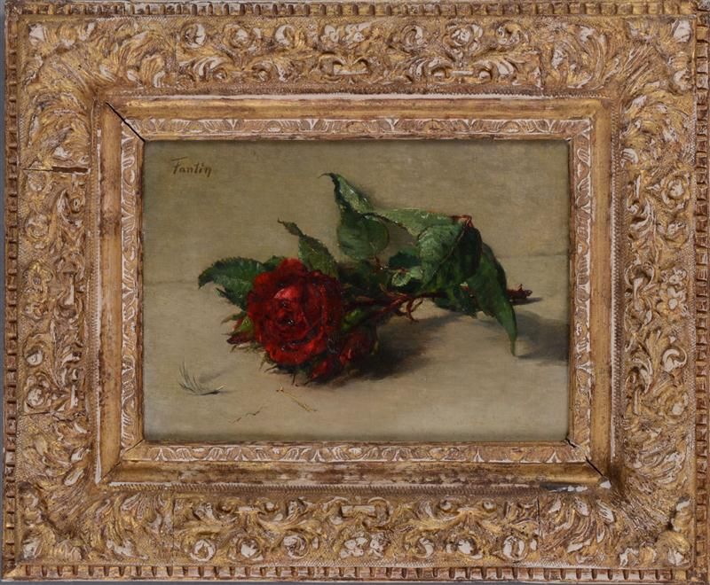 red-rose