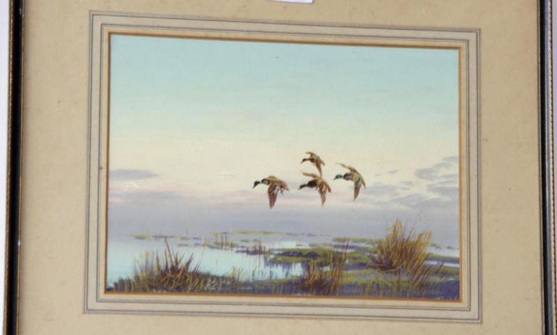ducks-in-flight-over-marshland