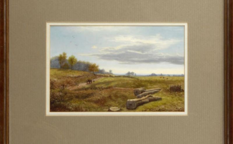 a-sunny-day-westerham-chart-evening-merle-common-surrey-a-pair
