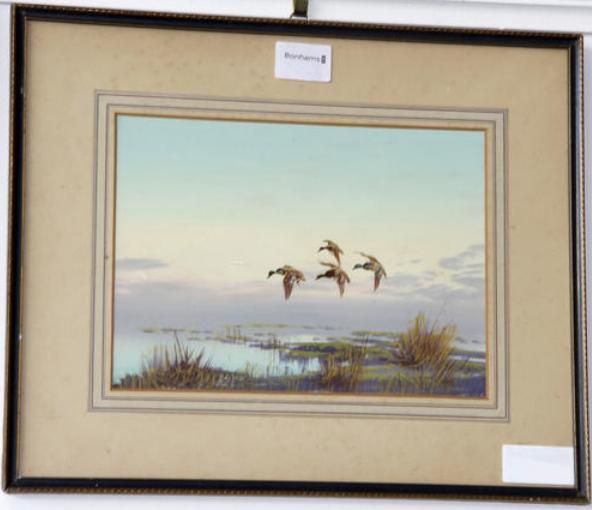 ducks-in-flight-over-marshland