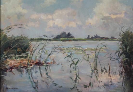 rietkraag-aan-de-plas