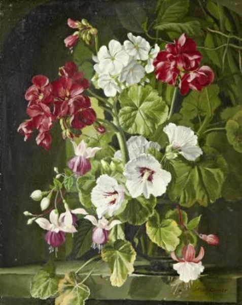 still-life-with-fuschias-and-geraniums