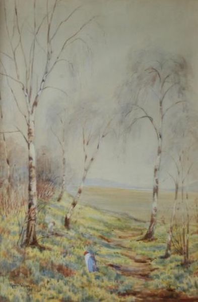 a-rural-landscape