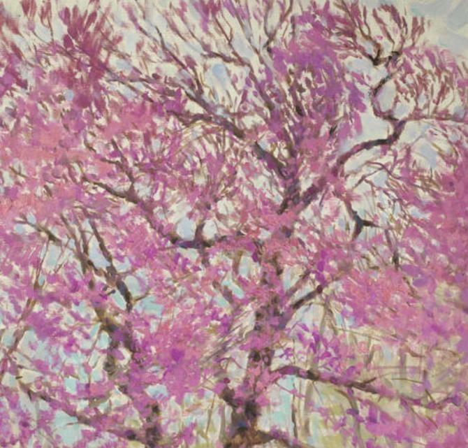 trees-in-flower