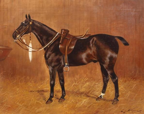 cubic-by-root-portrait-of-a-racehorse-in-a-loose-box