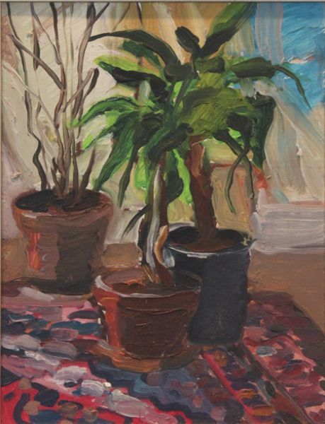 still-life-with-plant