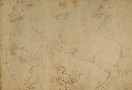 studies-of-horses