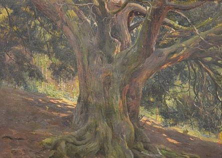 the-old-yew-tree