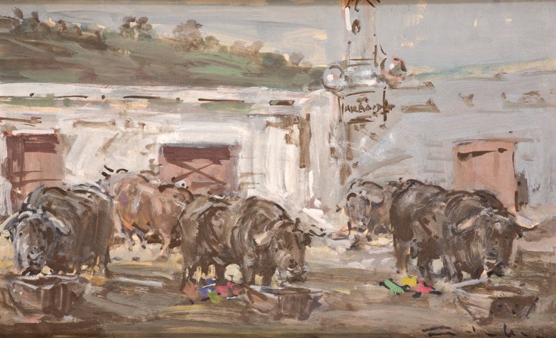 toros-en-el-corral