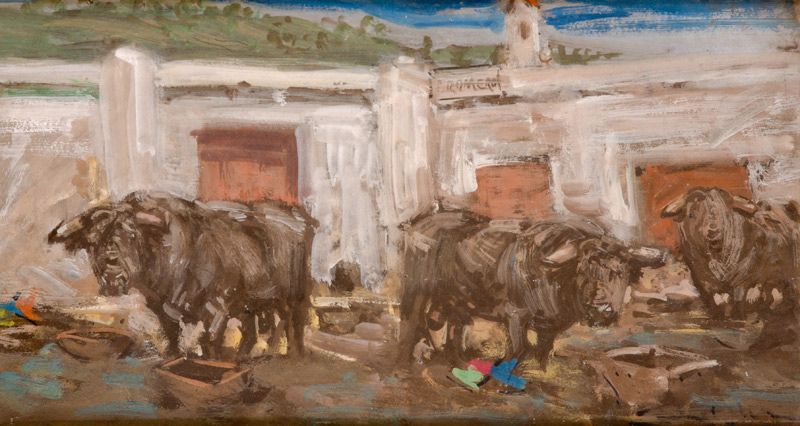 toros-en-el-corral