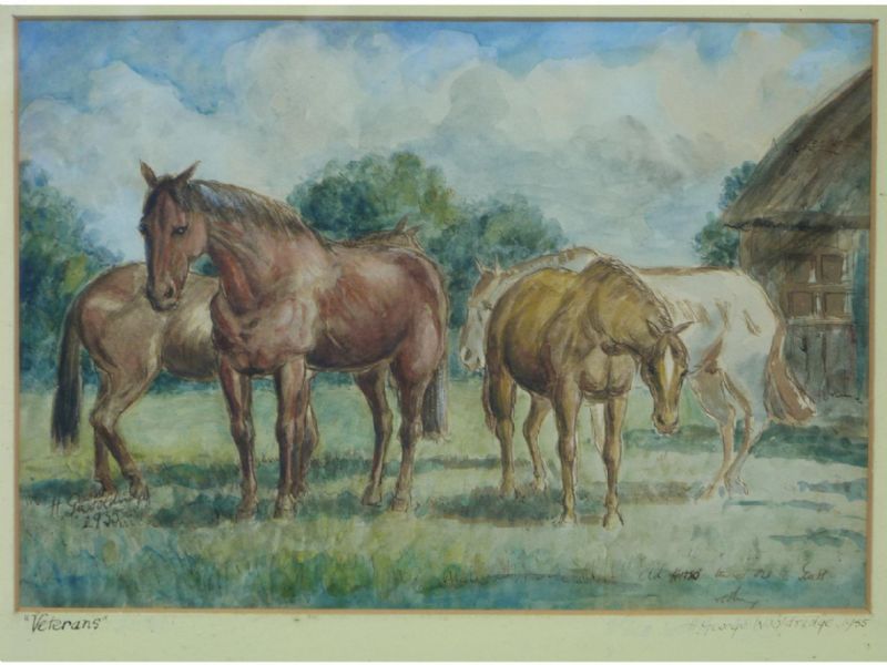 old-horses-turned-out-to-grass