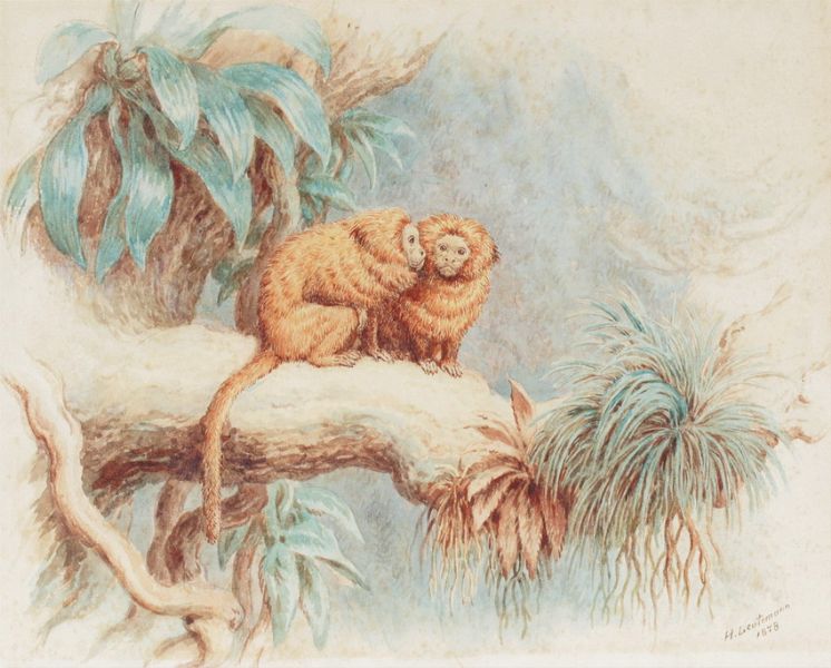 monkeys-in-a-jungle-landscape