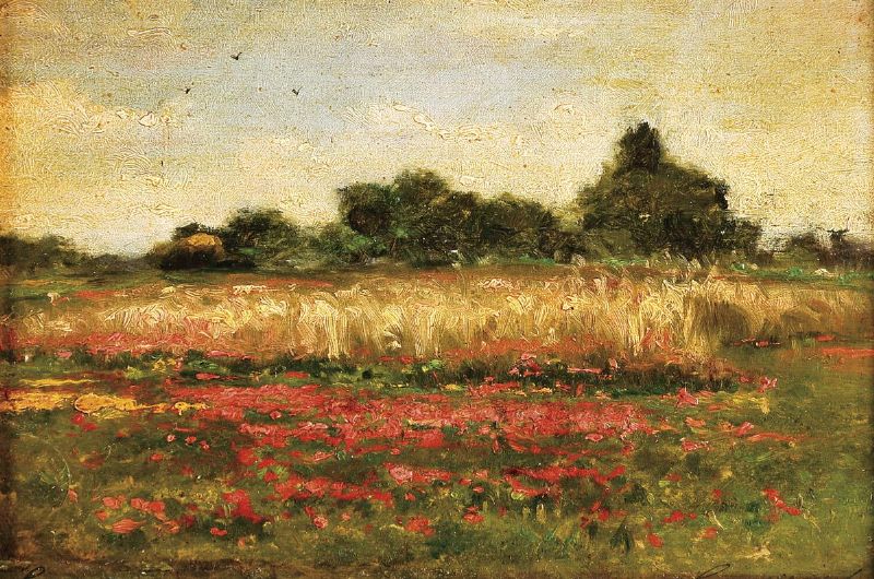 paisagem