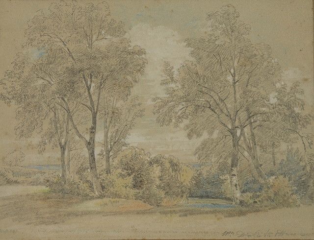 coastal-landscape-with-trees