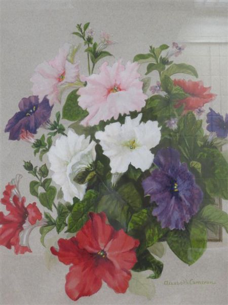 still-life-of-white-purple-and-red-petunias