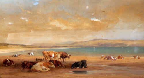 on-criccieth-sands