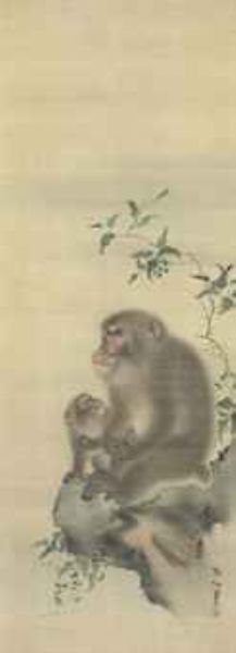 monkeys