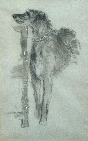 study-of-a-deerhound