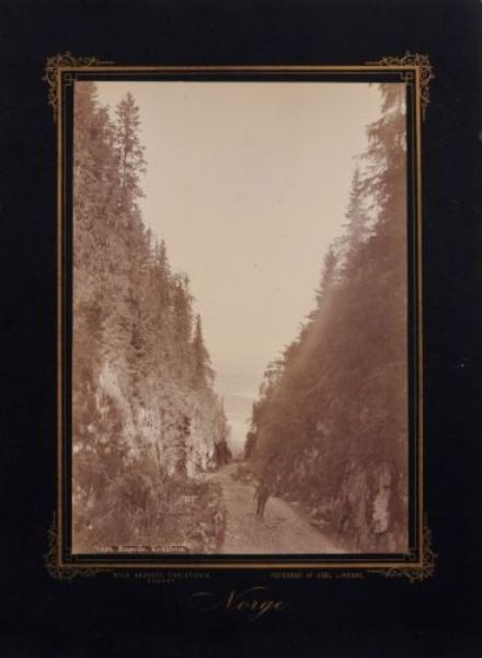 vier-norwegische-ansichten