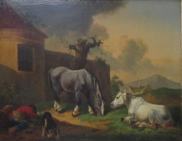 cattle-and-horses