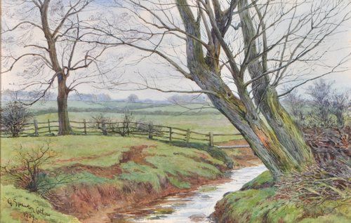 meadow-with-a-stream