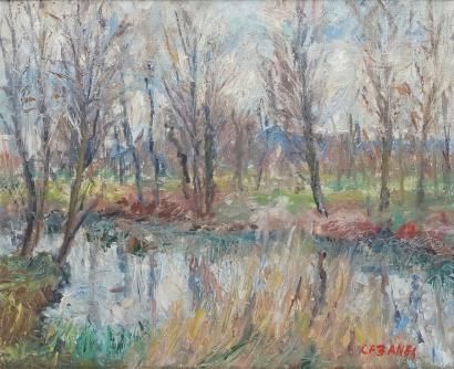 peupliers-en-bord-de-riviere