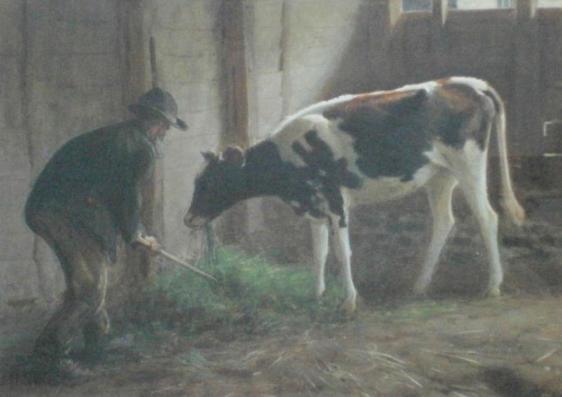 feeding-the-calf