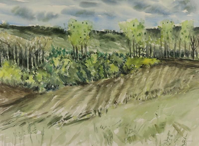 fields-near-priddis