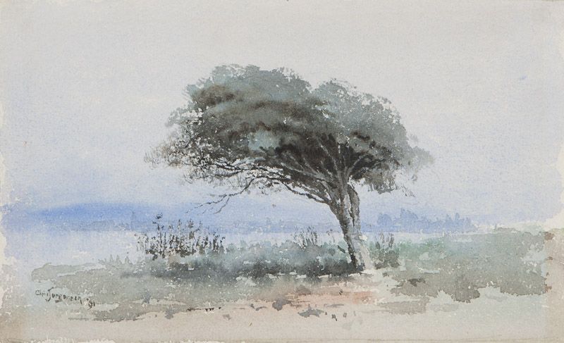 tree-on-edge-of-lake-merritt