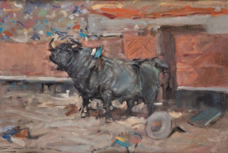toro