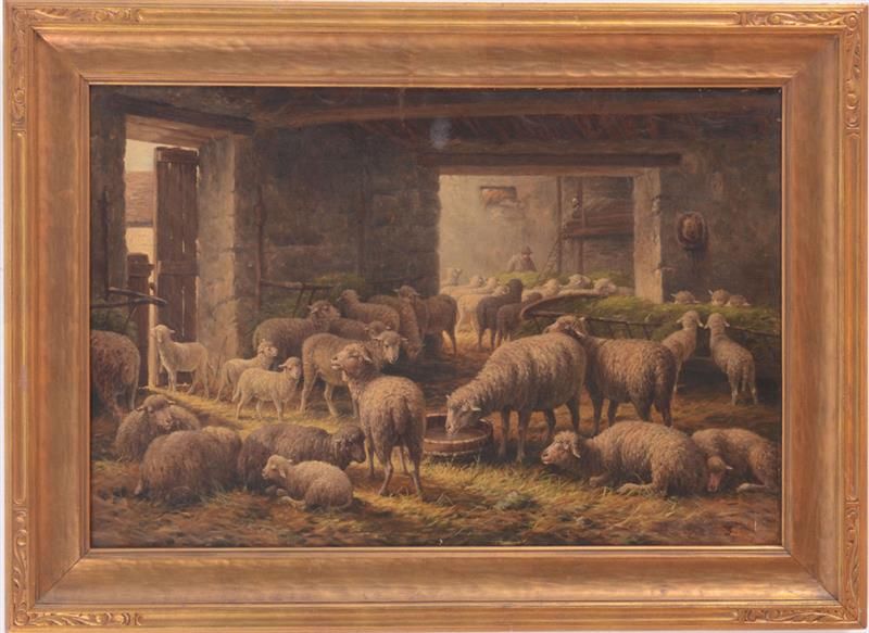 sheep-feeding-in-a-barn