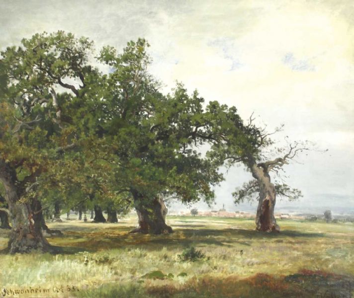 landschaft-bei-schwanheim