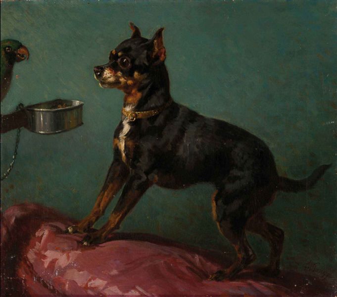 dog-and-parrot