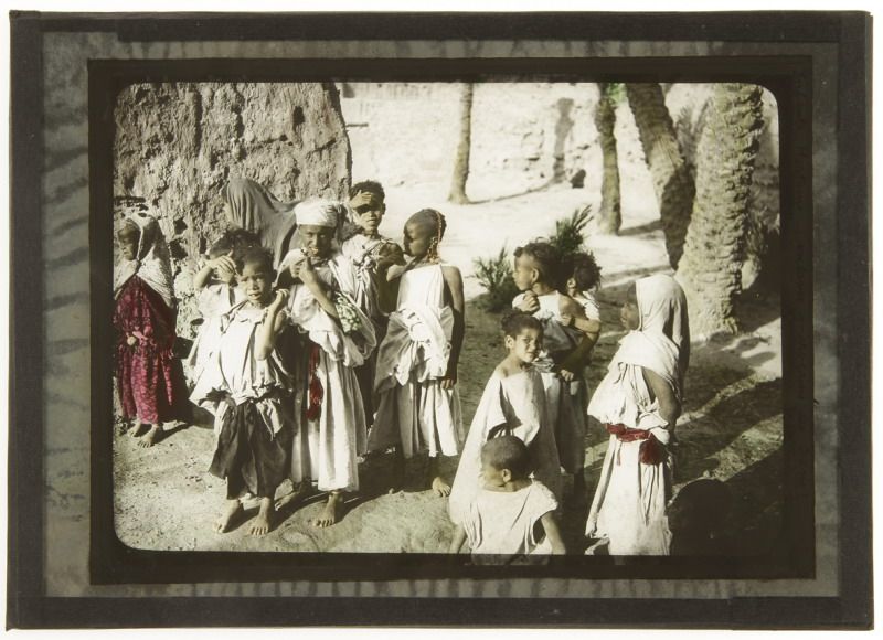 esclaves-des-oasis-palmeraie-d-el-hamman