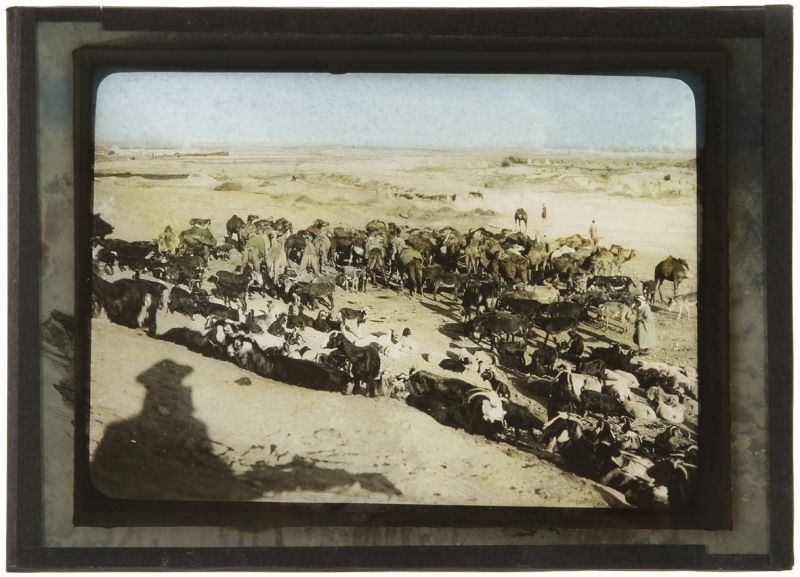 caravane-dans-le-sahara-ksar-en-ruines-d-el-abid