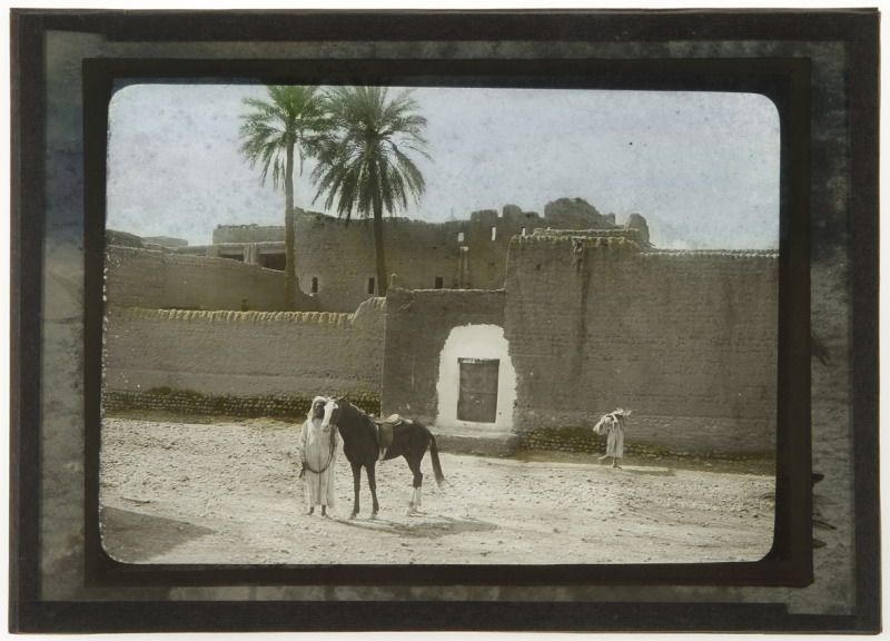 reservoir-dans-l-oasis-de-zenaga