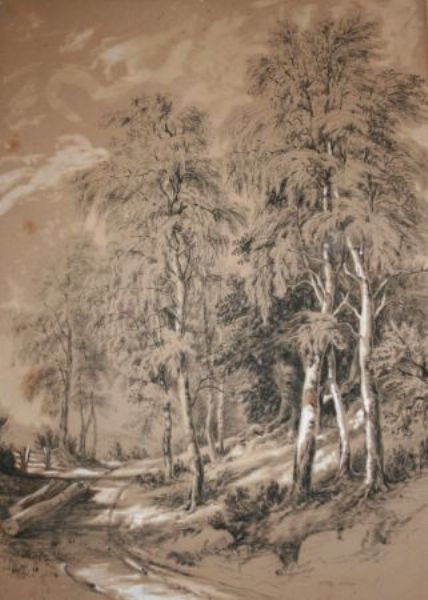wooded-landscapes
