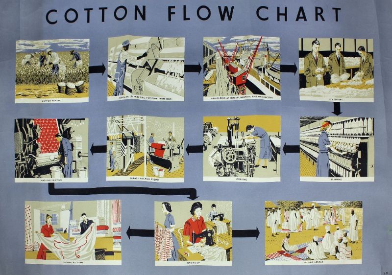 cotton-flowchart