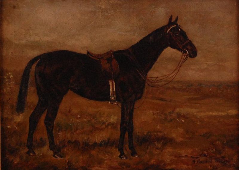 study-of-a-bay-hunter-within-a-landscape