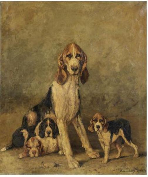 a-french-hunting-hound-and-puppies