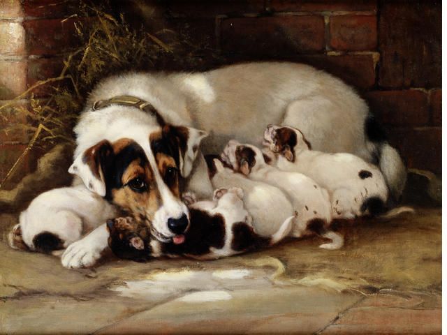 mother-s-brood
